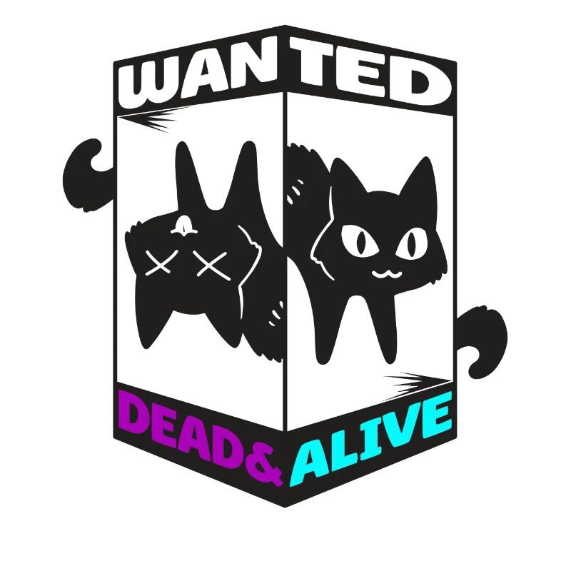 Physics Quantum Nerd Dead Alive Schrödinger's Cat