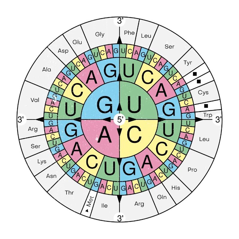 Biochemie RNA Codon Code Sonne Grunge Look