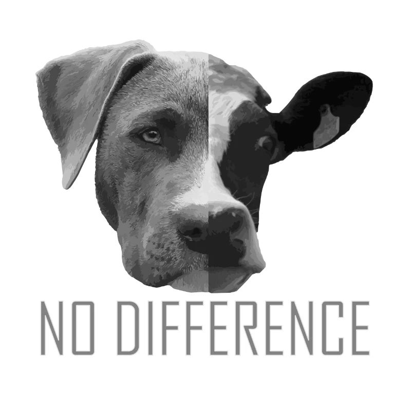 No Difference Hund Kuh Vegetarier Tierfreund