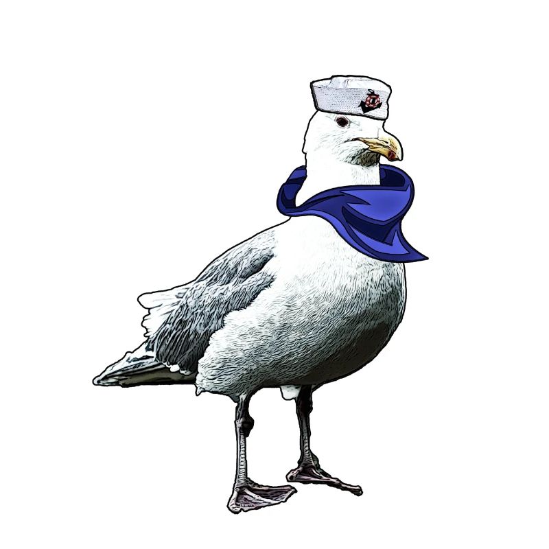 Seefahrer Möwe | Yolo-Artwork