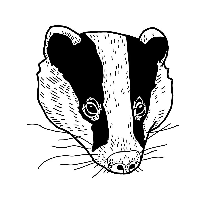 Badger