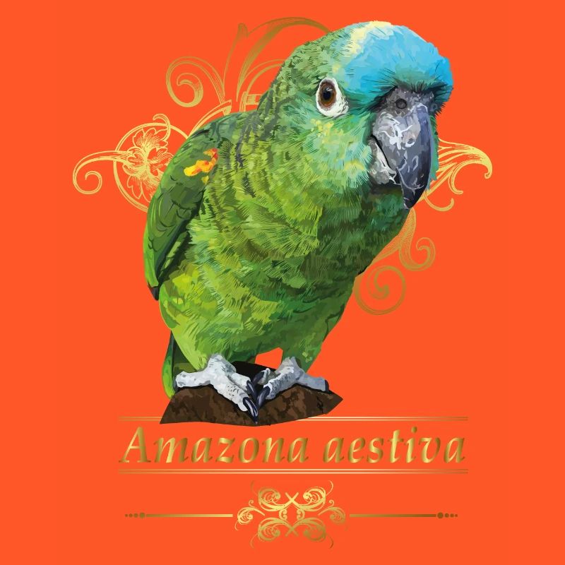 Amazone à front bleu