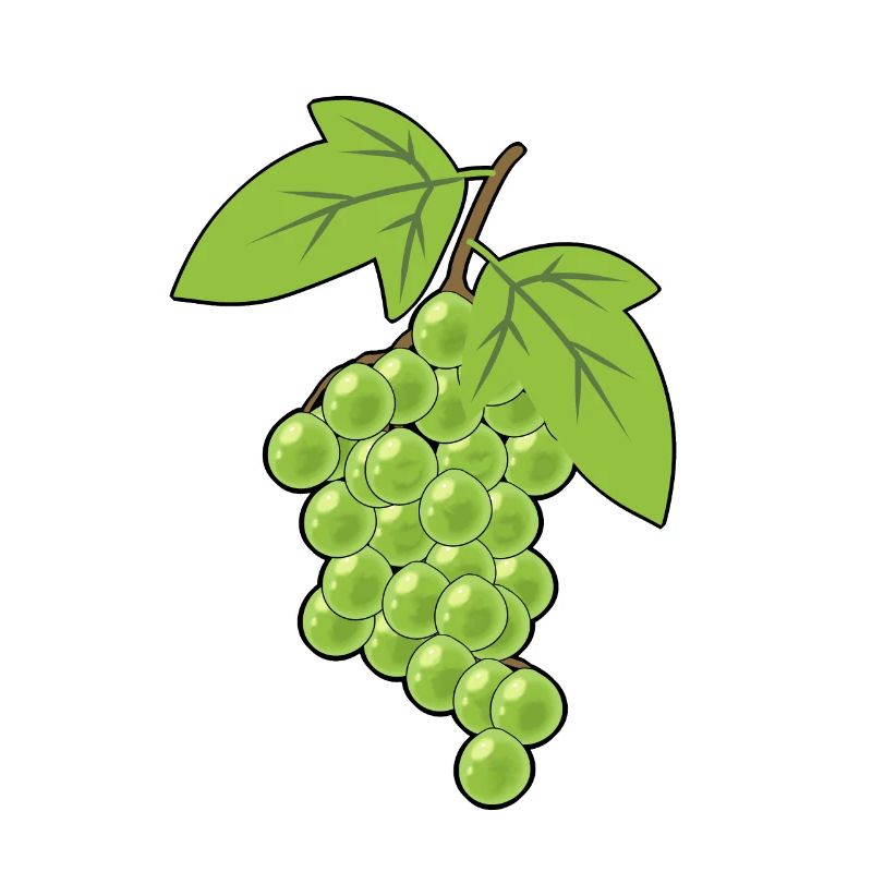 Grapes Grapes Hobby gardeners Harvest Grapevine