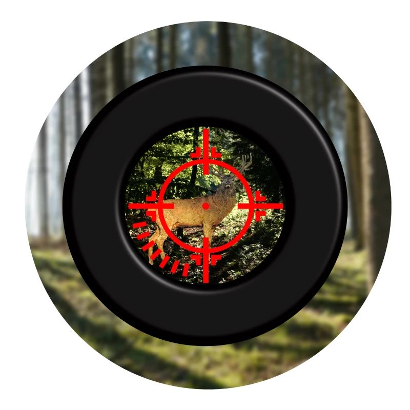 A deer seen through the scope