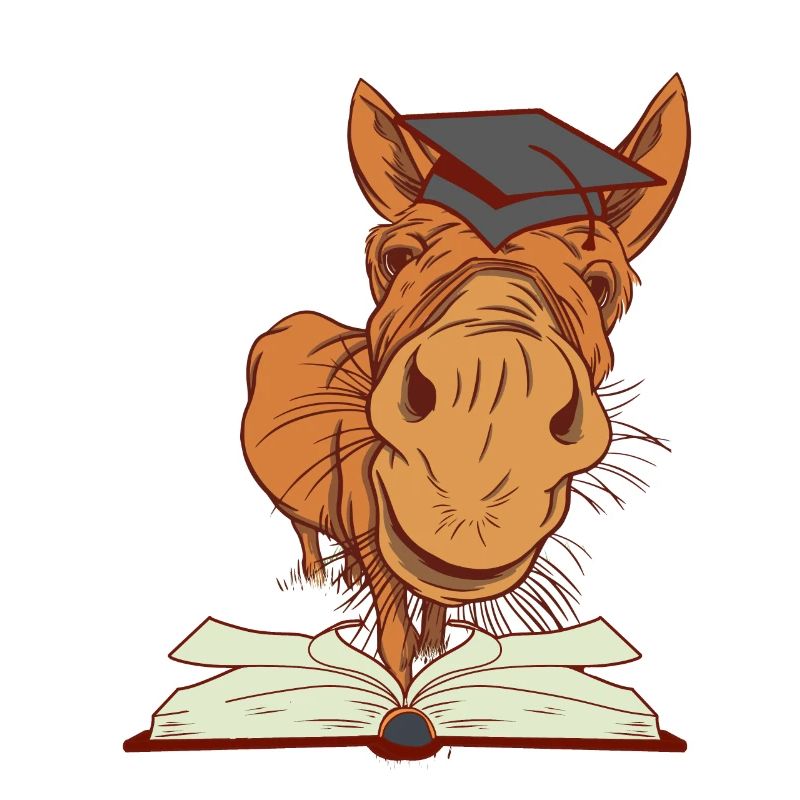 Donkey mule enrollment first grader clever