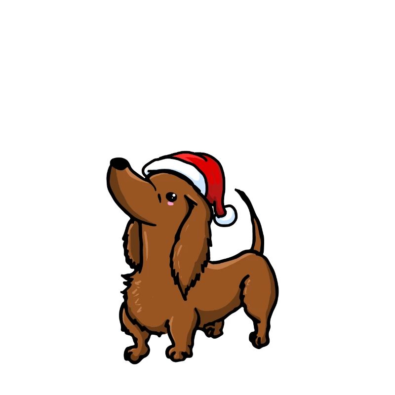 Chien Teckel Teckel Avent de Noël mignon mignon