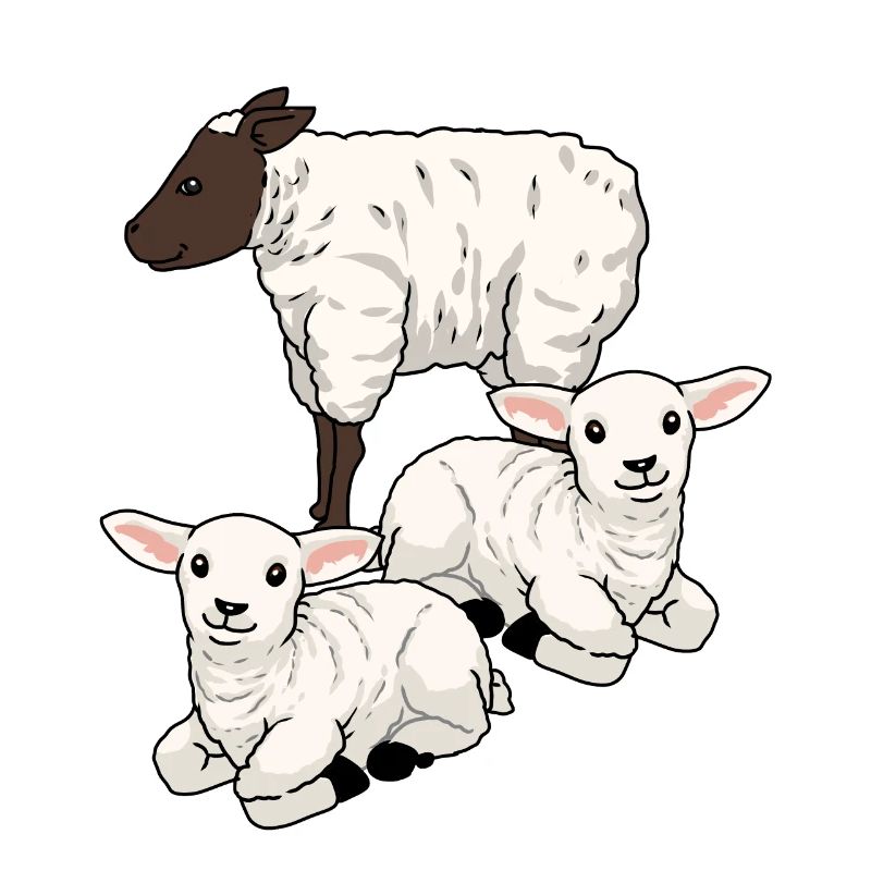 Sheep Sheep Ungulates Lamb Easter Mutton Herd