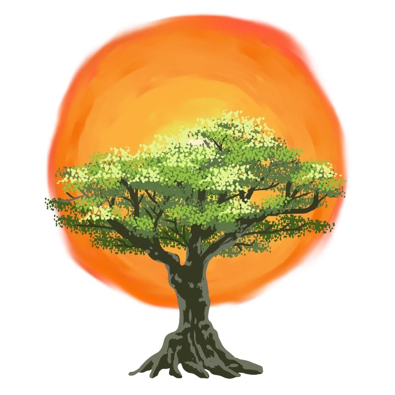 Olive Tree Sunrise Sun Tree Nature