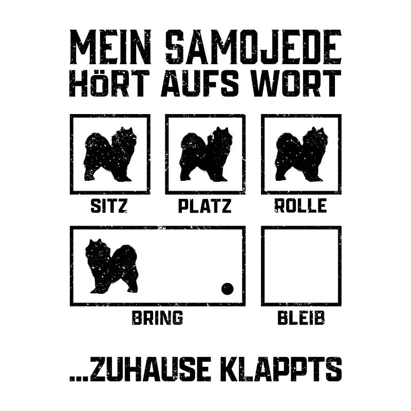 Samojede Hundetricks Schlittenhund Samojedenspitz