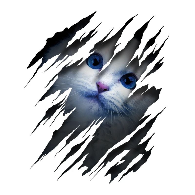 Cat with scratch - Cat face Scratch Cat