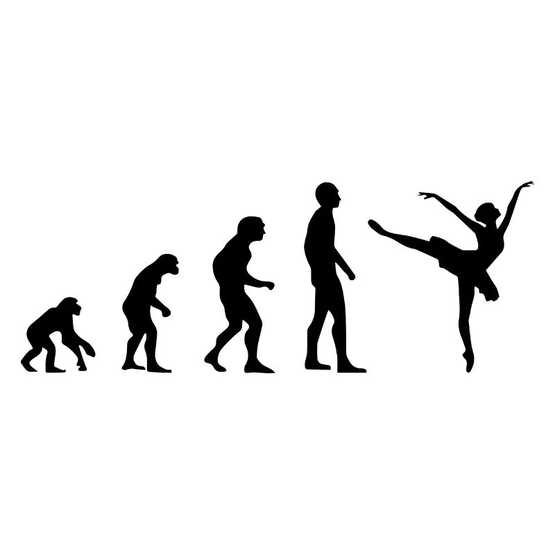 Danseurs ballerines danseur d’évolution cadeau