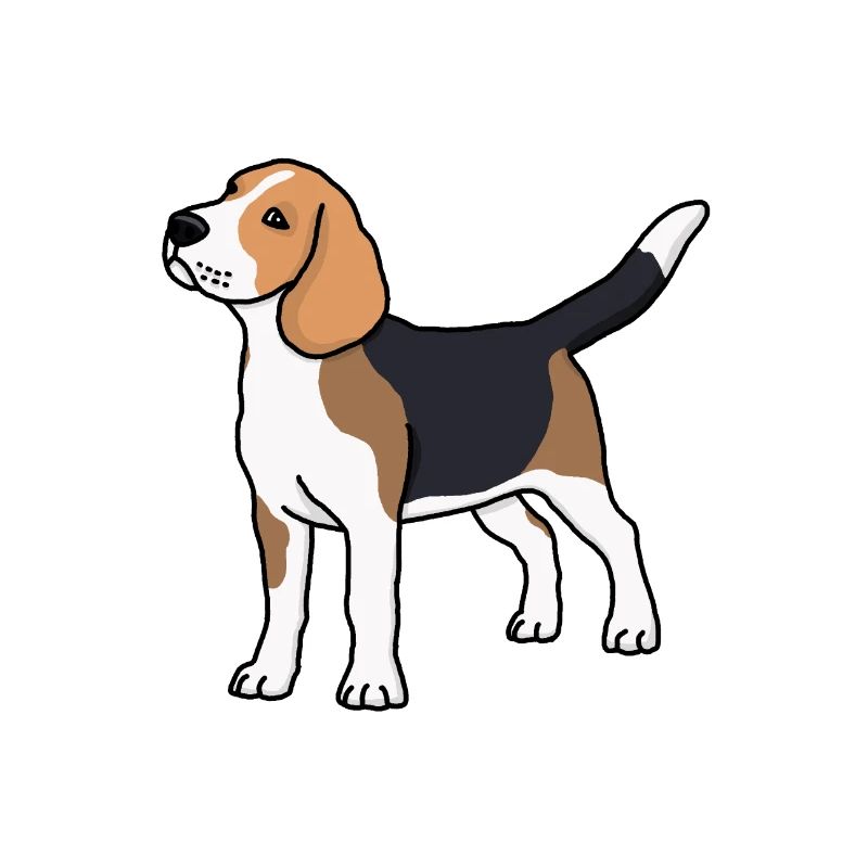 Beagle, Hund, Rasse, Zeichnung, Comic, Hunderasse