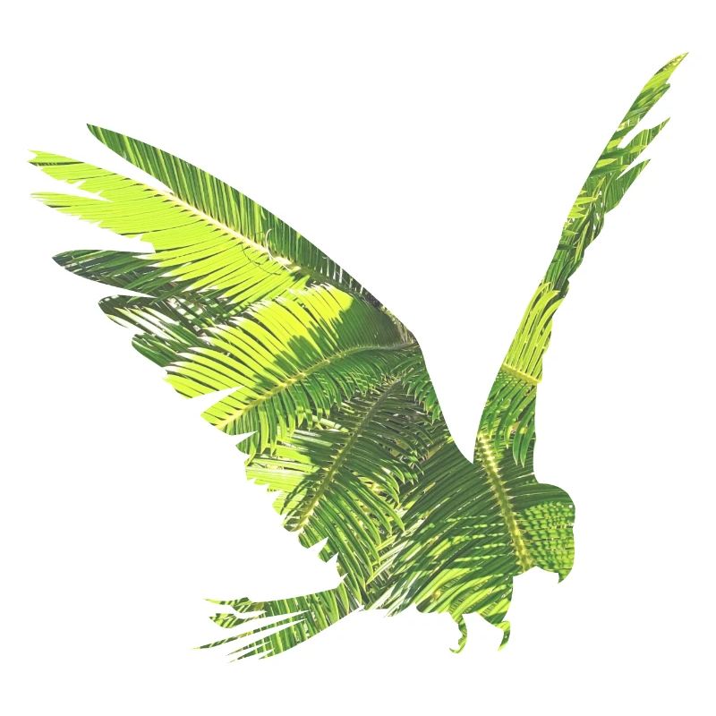 Forêt tropicale perroquet