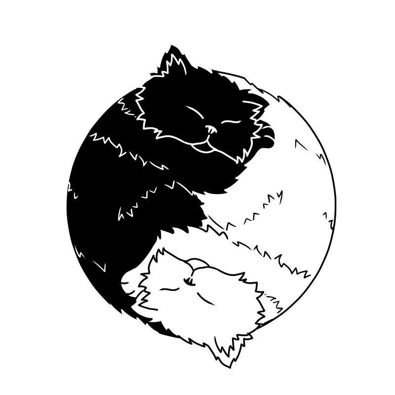 Chat Ying Yang Katezen chat