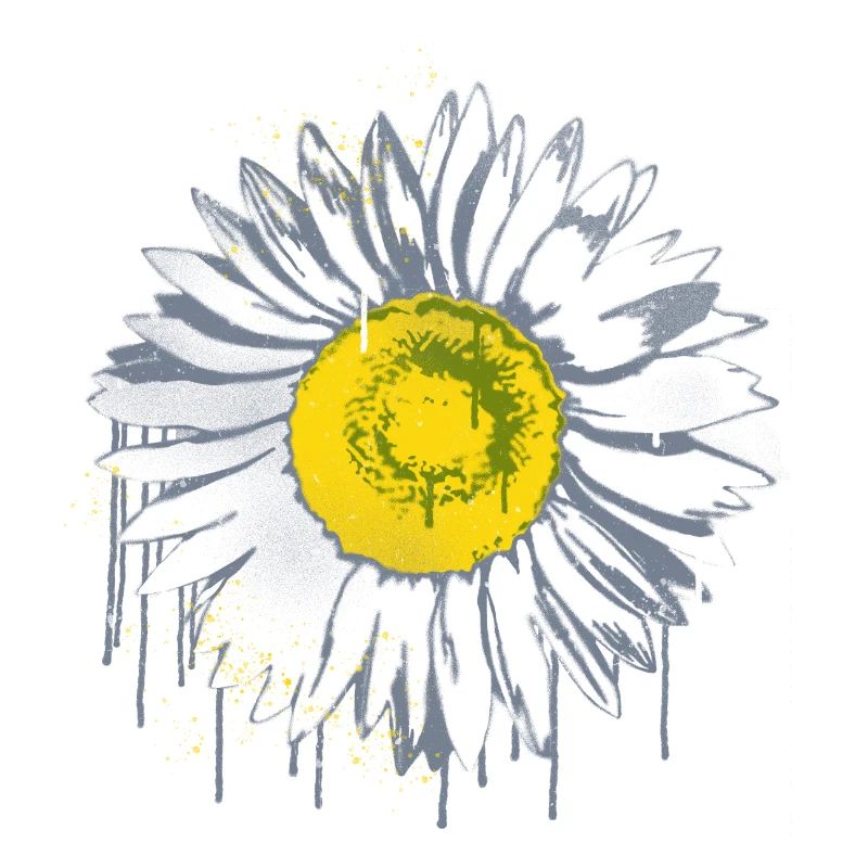 Daisy Stencil Graffiti Blume Margerite
