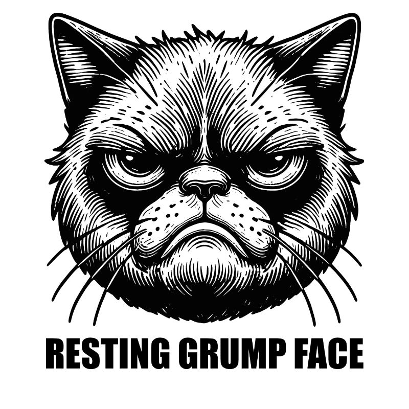 Resting Grump Face cat grumpy FaceHumor Sarcastic
