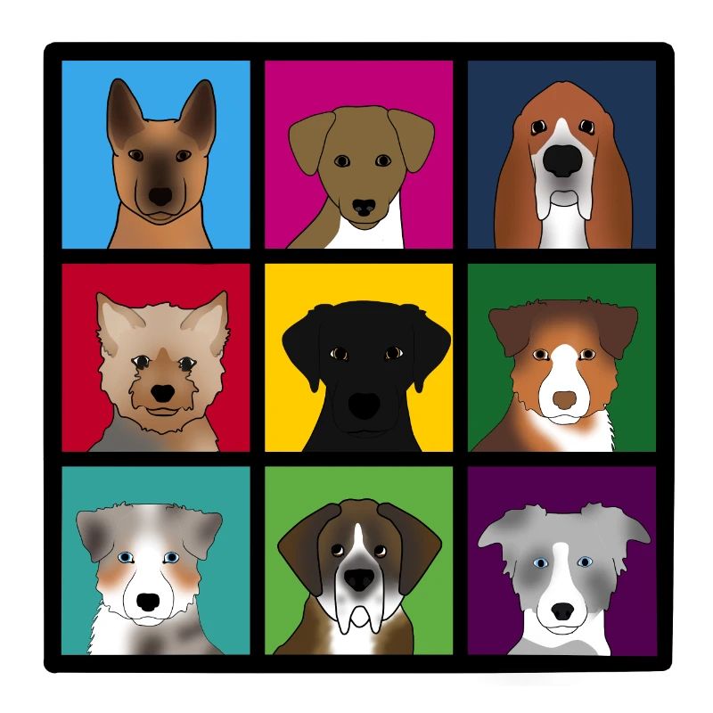 3x3 Hunde neu