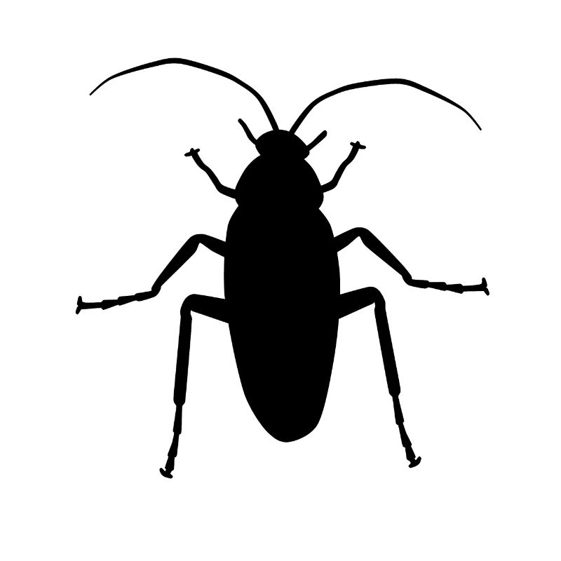 Vermin pests Scharbe cockroaches