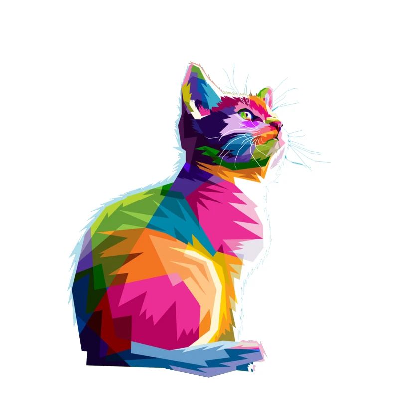 Cat colours