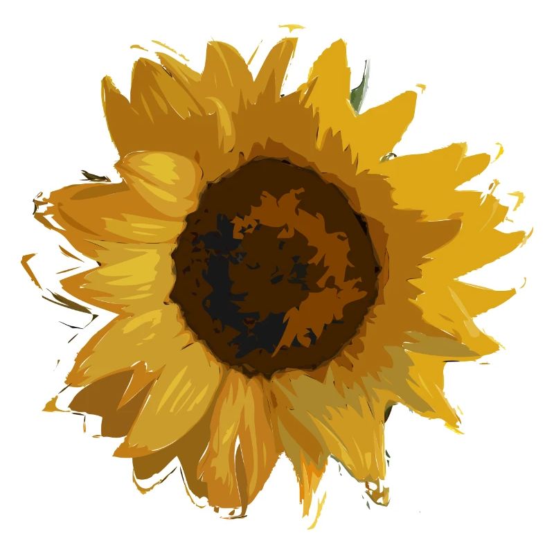 Sonnenblume