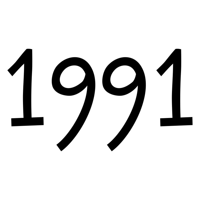 Geburtsjahr 1991 Geschenkidee Geburtstag