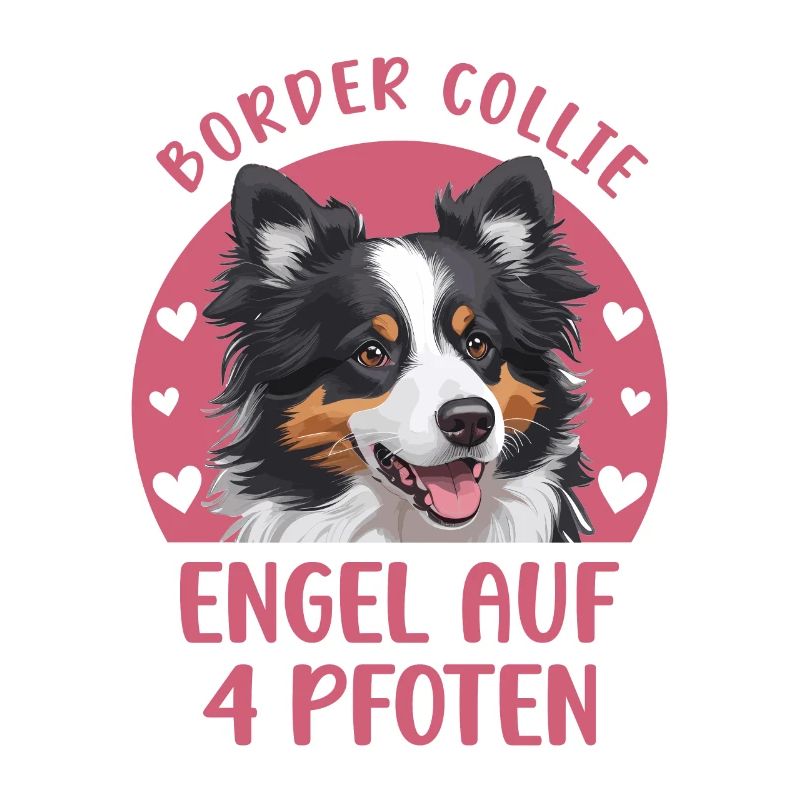 Border Collie - Engel auf 4 Pfoten