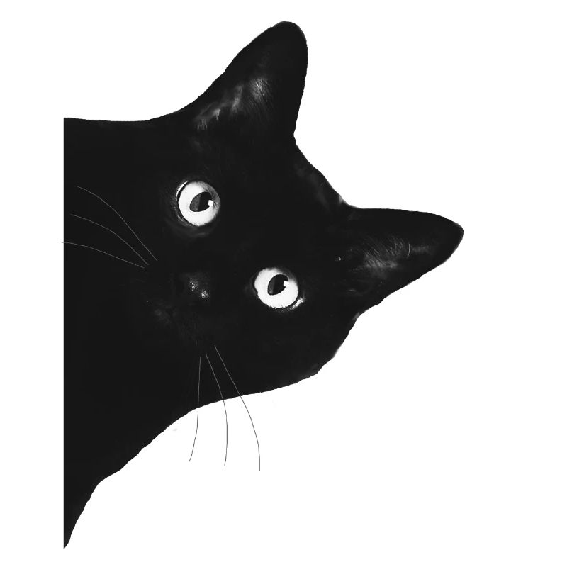 chat