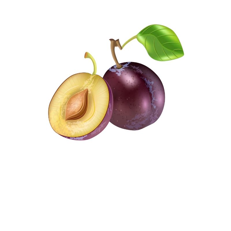 Prune prune image cadeau idée