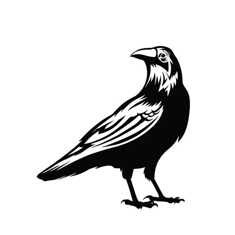 Raven Crow Bird