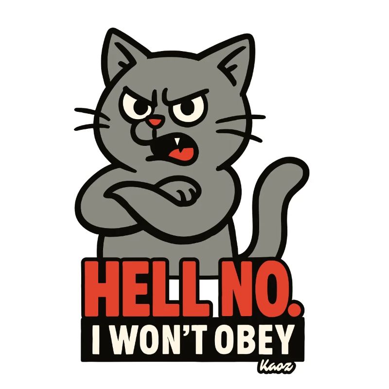 Chat rebelle : je n’obéirai pas