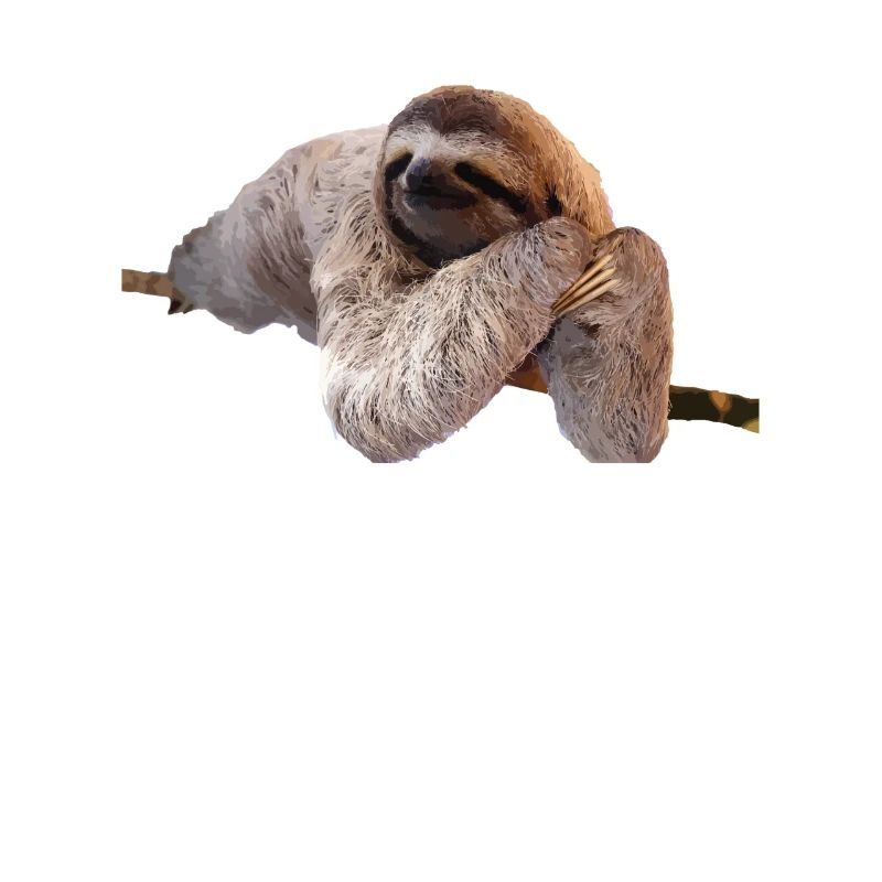Faultier Sloth Geschenk Idee