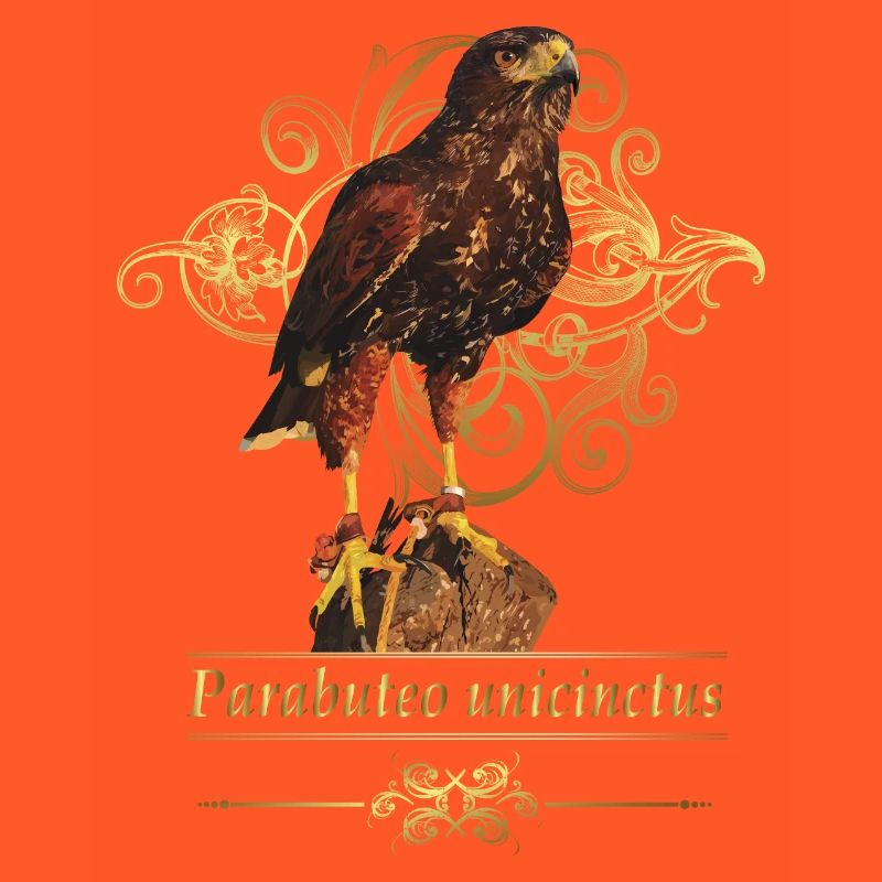 Reddish-reddish hawk