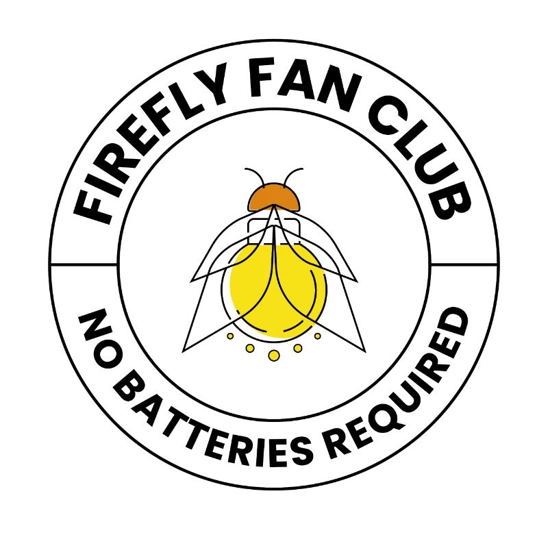 Fireflies Firefly Lightning Bug Insect Collector