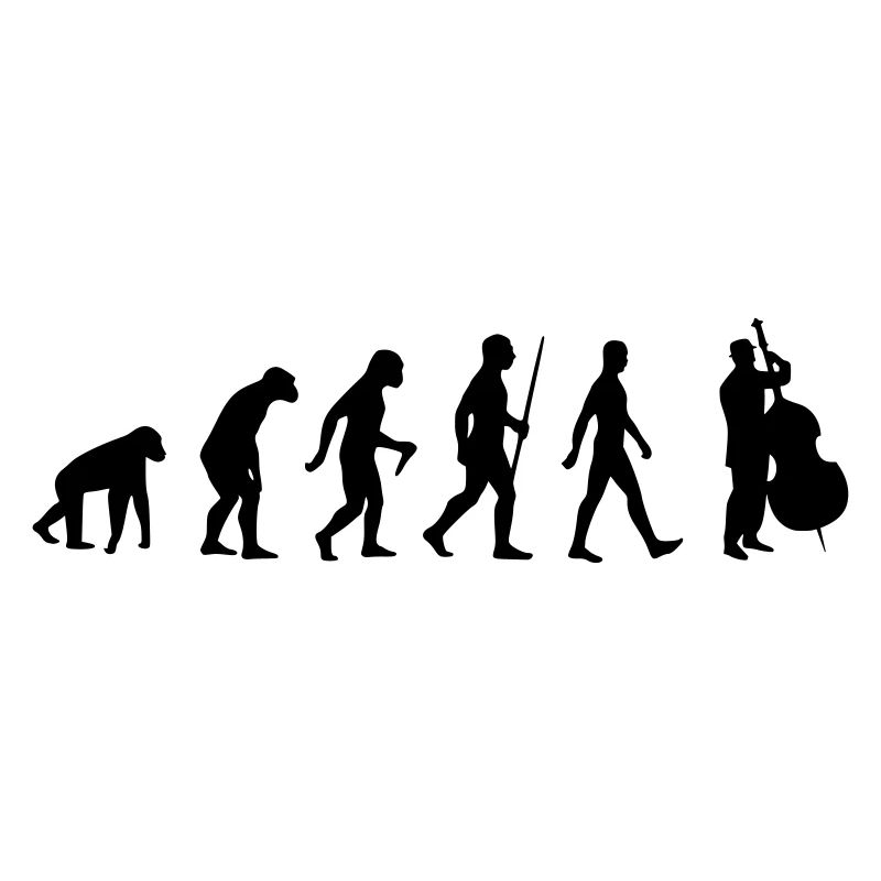 Kontrabass - Evolution Musik Streicher Instrument