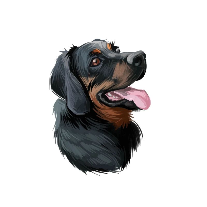 Polnischer Jagdhund Aquarell Illustration
