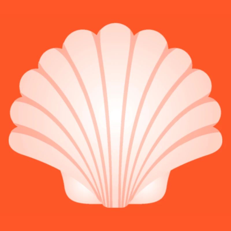 Seashell shell shell oyster scallop