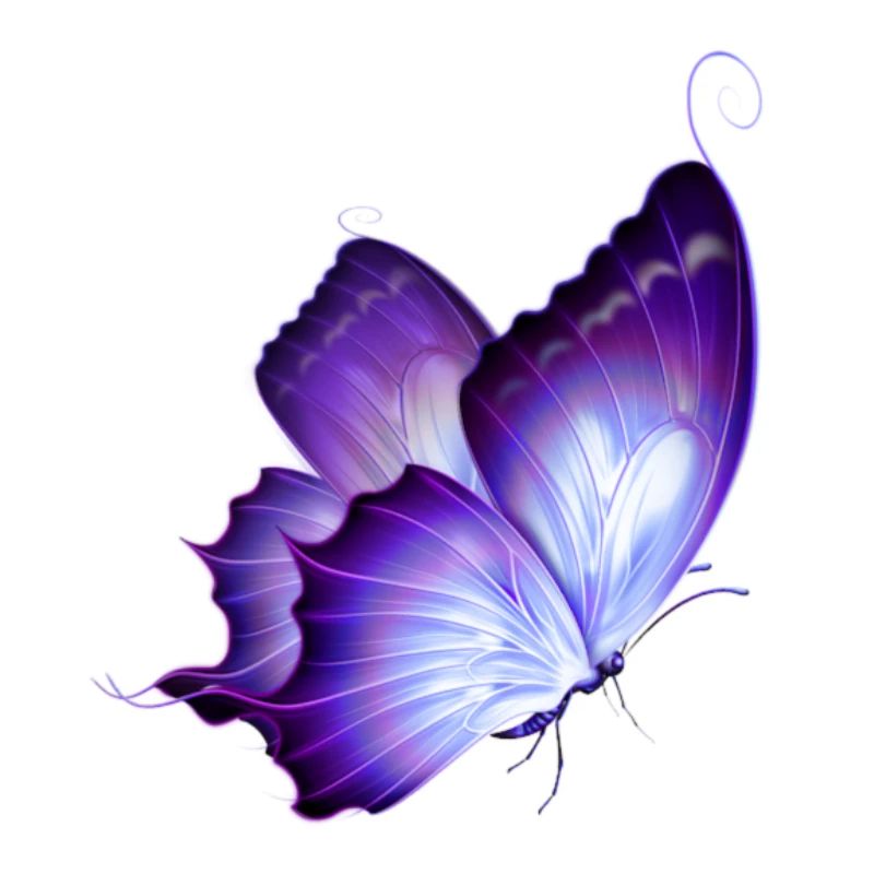 Papillon