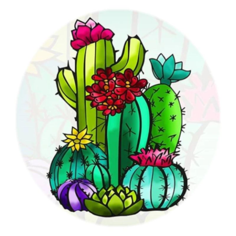Cactus et fleurs