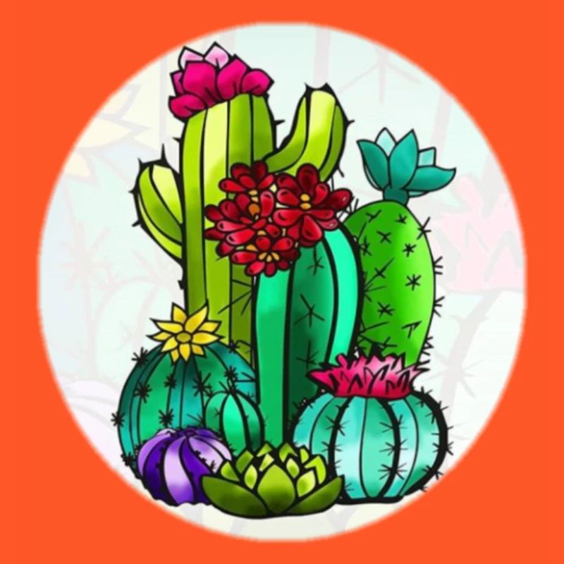 Cactus et fleurs
