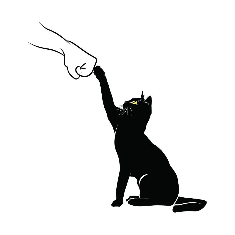 Schwarzer Katzenfauststoß