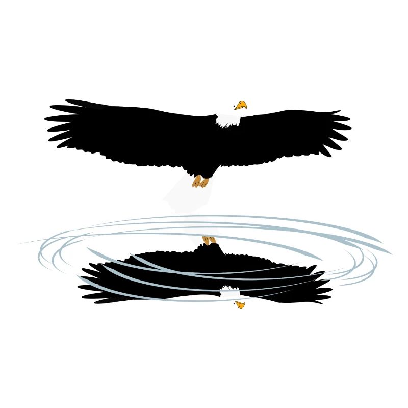 White-tailed eagle reflection funny animals fun4m3animal