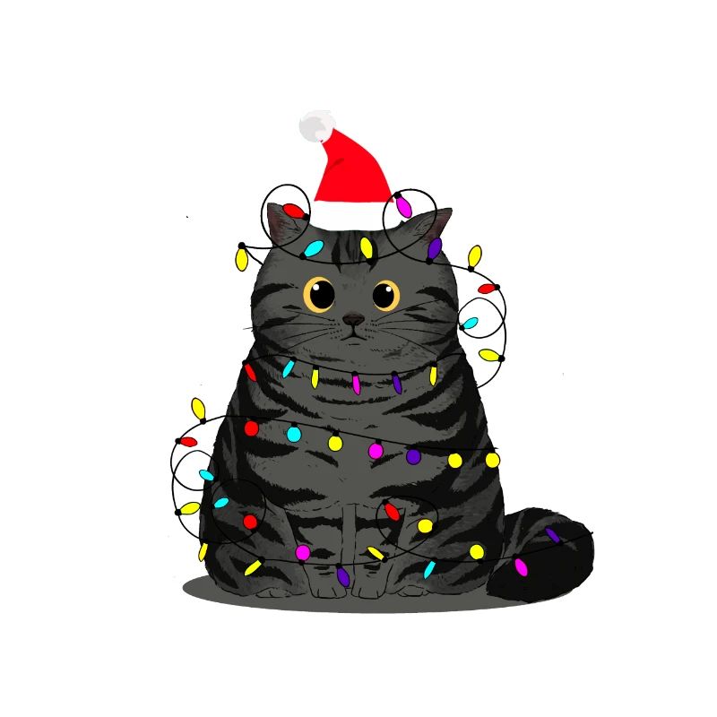 Noël chat maladroit