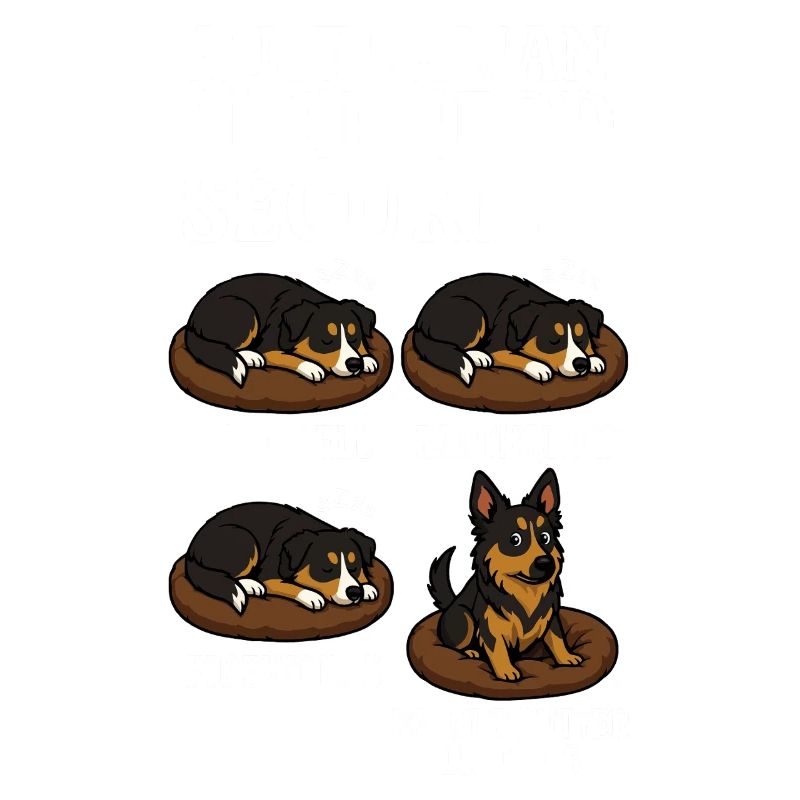 Australischer Schäferhund