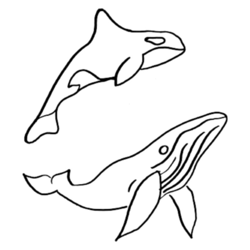 Wale, Wal
