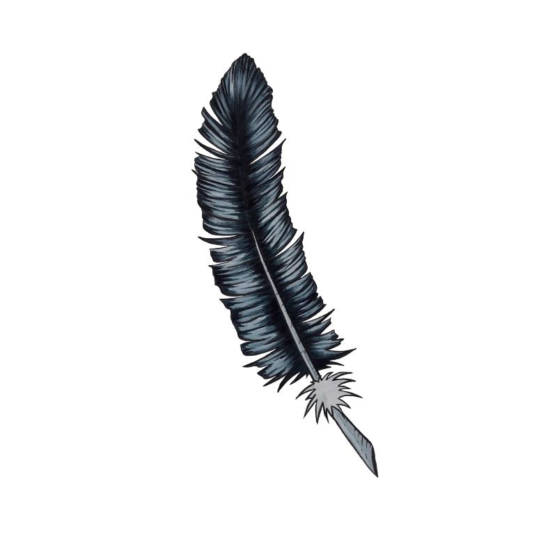 Krähenfeder