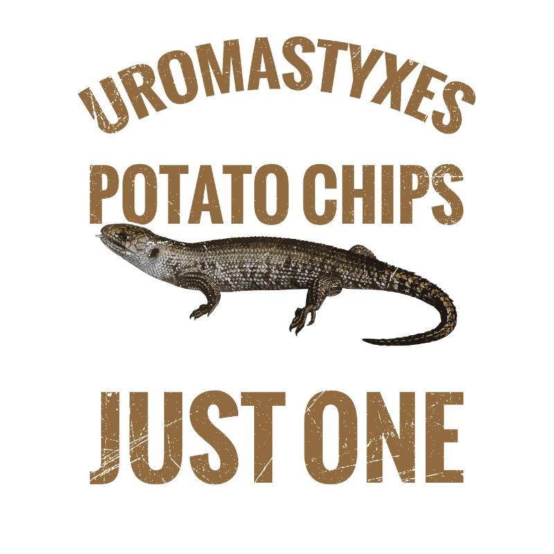 Les uromastyxes sont comme des chips qu’ils