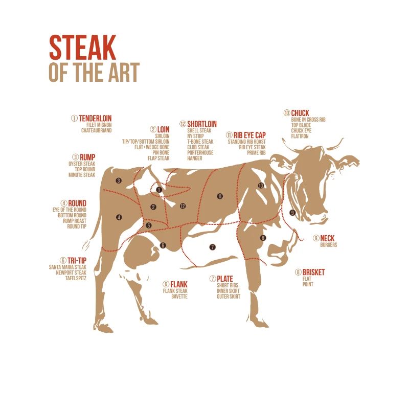 Steak Champ Winter BBQ Pitmaster