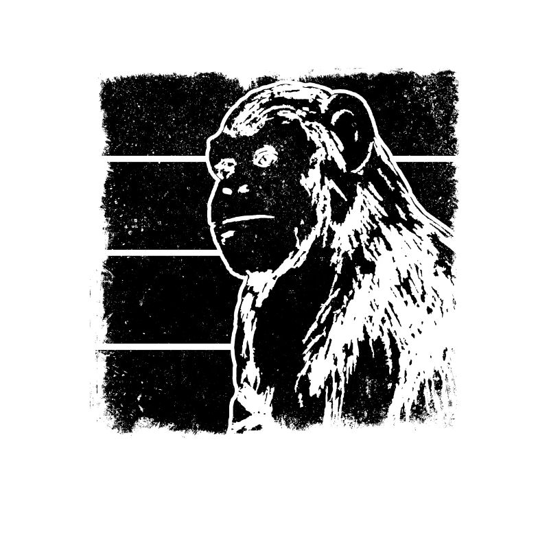 Monkey Chimpanzee Orangutan Monkey