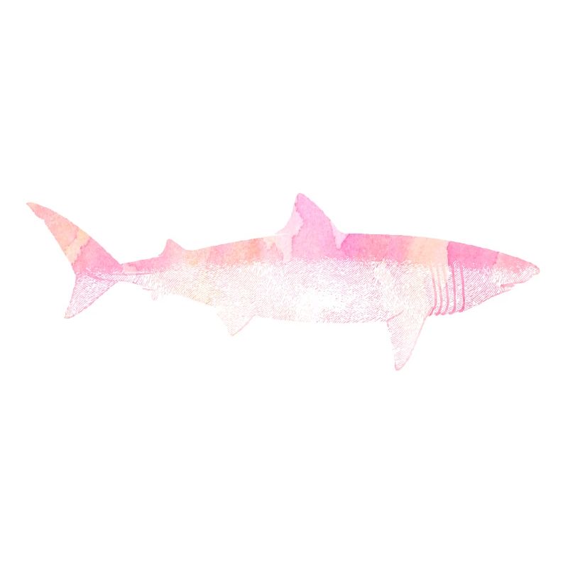 Shark Attack