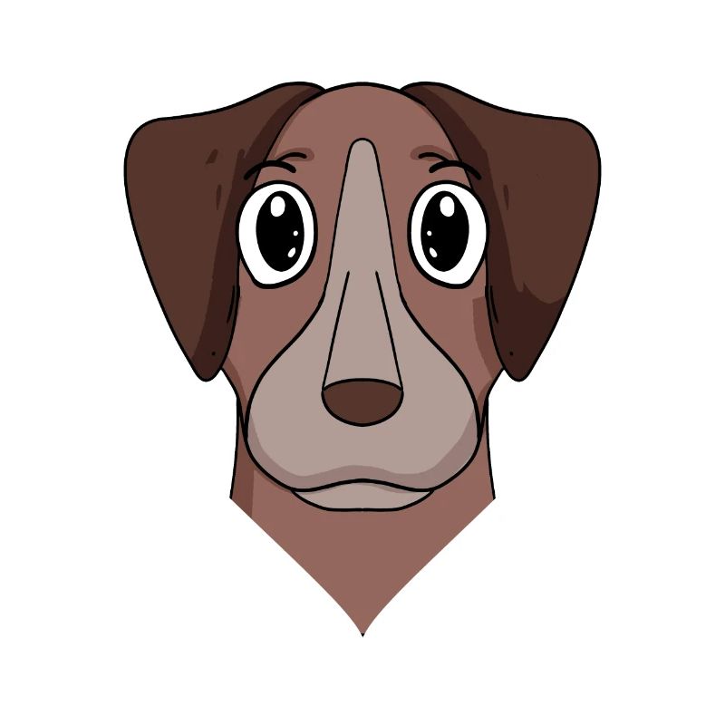 Pointer Hund Hunderasse